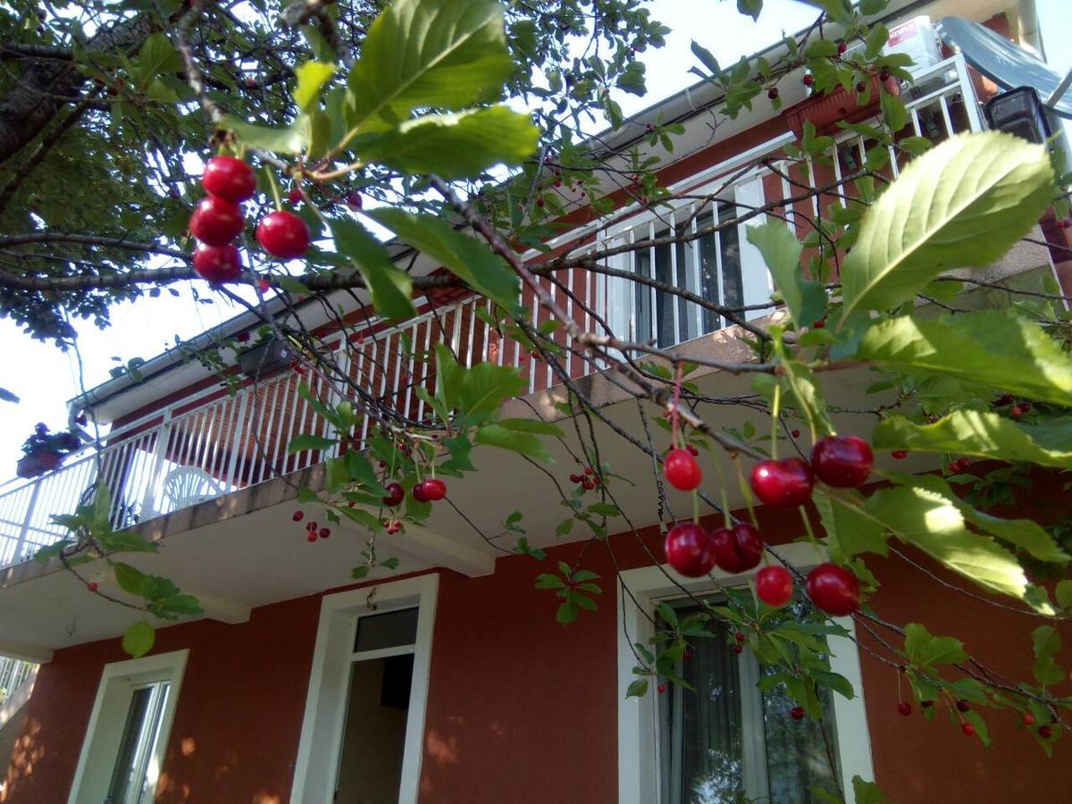 Apartman Vesna Virpazar Kültér fotó